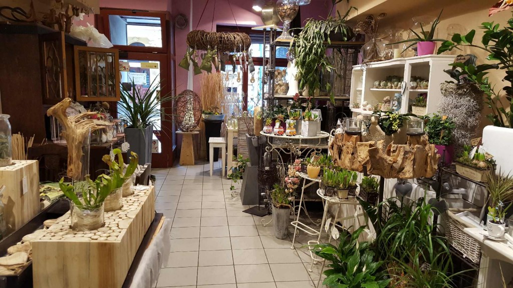 BlumenPommerenke Magdeburg